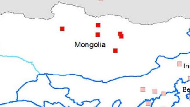 Affected provinces: Bulgan, Orkhon, Tuv and Dundgovi, as well as the district of Bayangol, in Ulaanbaatar.
