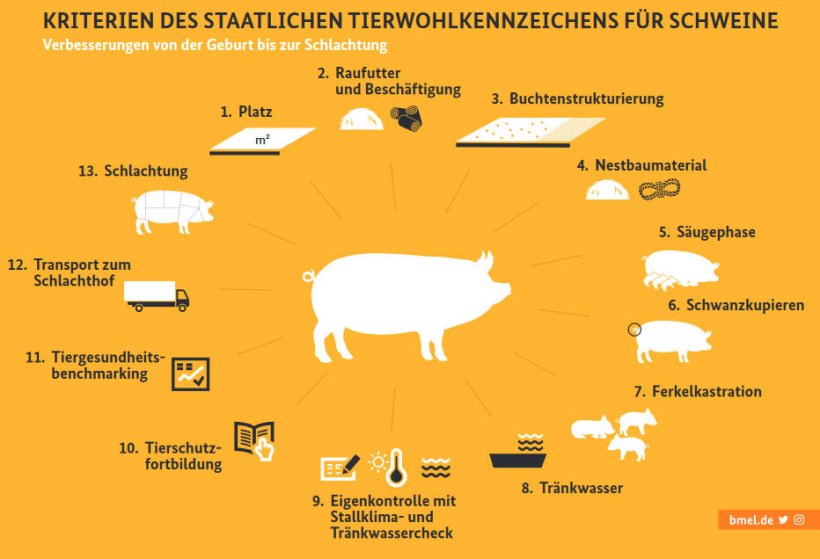 Germany presents a new animal welfare labelling - Swine news - pig333, pig to pork community Germany presents a new animal welfare labelling - Swine news - pig333, pig to pork community