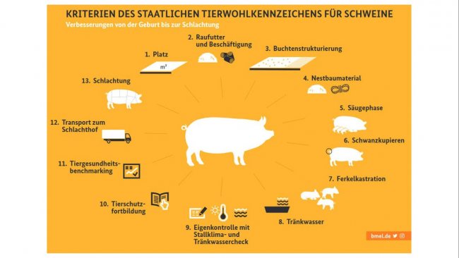 Germany approves a new state label in favour of animal health - Swine news  - pig333, pig to pork community