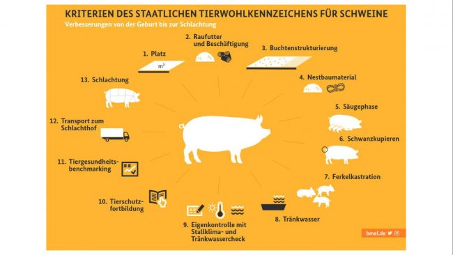 Germany approves a new state label in favour of animal health - Swine news - pig333, pig to pork community Germany approves a new state label in favour of animal health - Swine news - pig333, pig to pork community