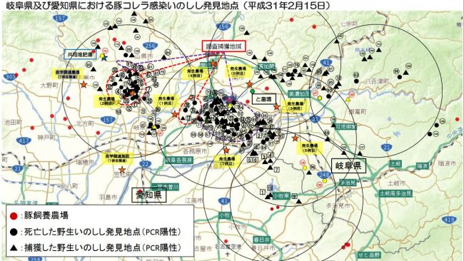 The map shows the total number of wild boars found dead or captured positive to the disease, as well as the pig farms affected (highlighted in yellow) up to February 15th, 2019.