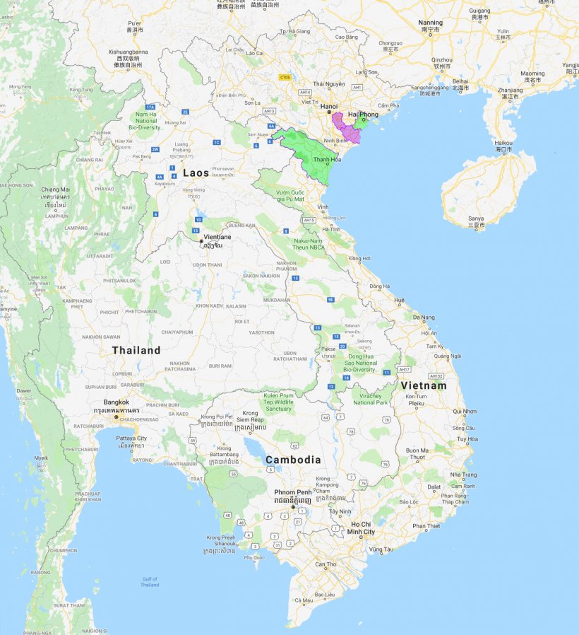 Hai Phong and Thanh Hoa, new provinces affected by ASF.
