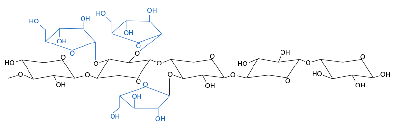 Figure 3. Chemical structure of arabinoxylans. The arabinose branches and their distribution vary depending on the cereals and between varieties of a cereal.
