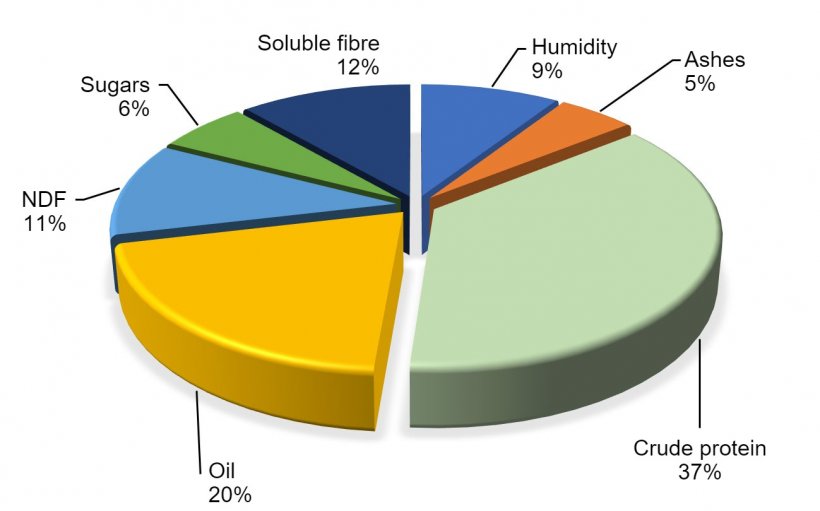 Figure 2. Chemical composition of soybean according to FEDNA (2017)

