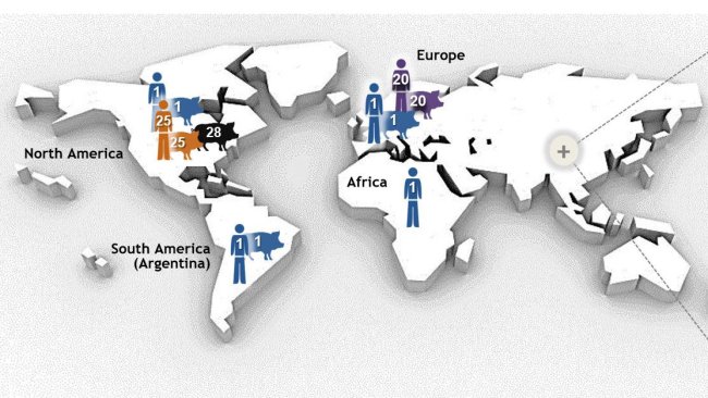 Figure 1. Most important sequence types (STs) of Streptococcus suis serotype 2 as determined by multilocus sequence typing (MLST). ST1 serotype 2 strains are mostly associated with disease in both pigs (where data available) and humans in Europe, Asia, Africa and South America (Argentina). ST7, a single locus variant of ST1, is endemic to mainland China. The situation is different in North America, where few clinical ST1 cases of infection in pigs and only 1 human ST1 case has been described. Indeed, North American serotype 2 strains belong mainly to ST25 (human and pigs) and ST28 (pigs only). The latter ST is also associated with swine clinical cases in mainland China, Australia, Japan and Thailand. Interestingly, Japan and Thailand are the only countries also reporting ST28 human cases. Besides North America, human cases of ST25 have been reported in Australia and Thailand. Finally, ST20 is prevalent only in Europe (mostly in The Netherlands). In this figure, numbers (1, 20, 25, 28, 104) in the different hosts represent different STs (i.e. ST1, ST20, ST25, ST28, ST104) and each ST has been attributed with a different color. Figure was modified from: Segura M, Fittipaldi N, Calzas C, Gottschalk M. Critical Streptococcus suis virulence factors: Are they all really critical? Trends Microbiol. 2017; 25(7):585-599. doi: 10.1016/j.tim.2017.02.005, with copyright permission.