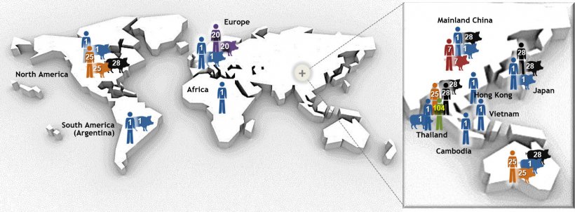 Figure 1. Most important sequence types (STs) of Streptococcus suis serotype 2 as determined by multilocus sequence typing (MLST). ST1 serotype 2 strains are mostly associated with disease in both pigs (where data available) and humans in Europe, Asia, Africa and South America (Argentina). ST7, a single locus variant of ST1, is endemic to mainland China. The situation is different in North America, where few clinical ST1 cases of infection in pigs and only 1 human ST1 case has been described. Indeed, North American serotype 2 strains belong mainly to ST25 (human and pigs) and ST28 (pigs only). The latter ST is also associated with swine clinical cases in mainland China, Australia, Japan and Thailand. Interestingly, Japan and Thailand are the only countries also reporting ST28 human cases. Besides North America, human cases of ST25 have been reported in Australia and Thailand. Finally, ST20 is prevalent only in Europe (mostly in The Netherlands). In this figure, numbers (1, 20, 25, 28, 104) in the different hosts represent different STs (i.e. ST1, ST20, ST25, ST28, ST104) and each ST has been attributed with a different color. Figure was modified from: Segura M, Fittipaldi N, Calzas C, Gottschalk M. Critical Streptococcus suis virulence factors: Are they all really critical? Trends Microbiol. 2017; 25(7):585-599. doi: 10.1016/j.tim.2017.02.005, with copyright permission.
