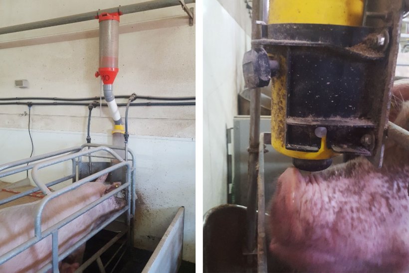 Hình & nbsp; 1. & nbsp;  Hệ thống cấp liệu này bao gồm một bộ phân phối, một ống nối khá dài, một thiết bị với phễu và một cơ cấu bi
