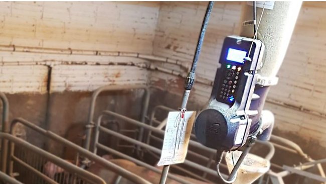 Photo 2. Electronic dry feeding system