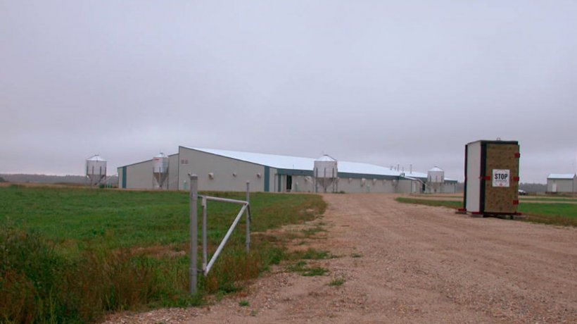 Picture 1. Pig farm. Courtesy of Super Gro Site 1 and Dr. Tim Snider.
