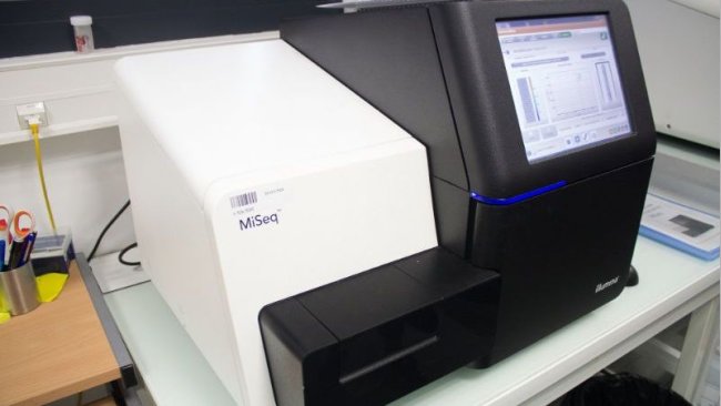 High-troughput sequencing platform at INRA in Toulouse, France, used in the study