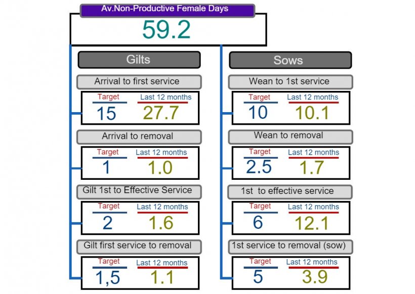 Figure&nbsp;2. Analysis of non-productive days.
