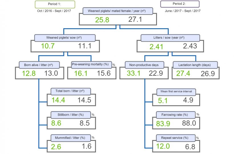 Figure&nbsp;1. Productivity tree comparing two periods of weaned pigs/mated female&nbsp;per year.
