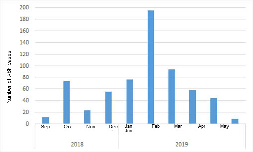 Monthly number of positive wild boars discovered in Belgium after the first case in September 2018 (source: ADNS as of July 8th, 2019).
