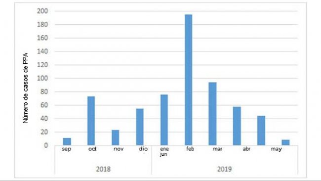 Monthly number of positive wild boars discovered in Belgium after the first case in September 2018 (source: ADNS as of July 8th, 2019).