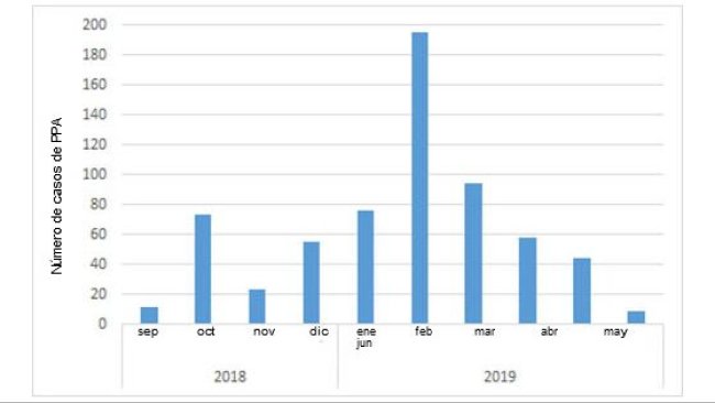Monthly number of positive wild boars discovered in Belgium after the first case in September 2018 (source: ADNS as of July 8th, 2019).
