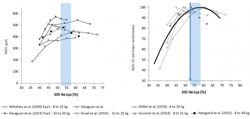 Figure&nbsp;1:&nbsp; Results in piglet growth from different studies considering various&nbsp;Ile:Lys SID&nbsp;ratios. Growth is expressed as an absolute value or as the percentage of the best performance. Source: Ajinomoto Animal Nutrition Europe
