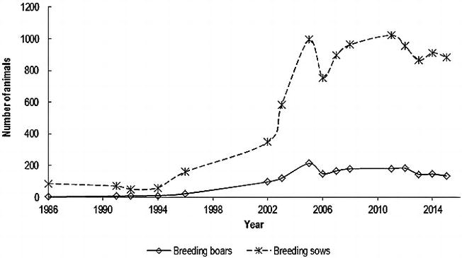 Figure 1. Census of Cinta Senese pig breed, presenting a number of sows and boars per year, starting with the year of herdbook establishment.
