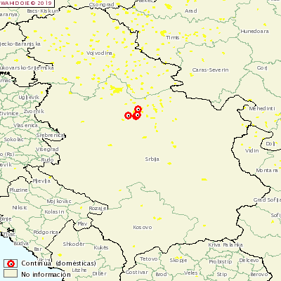 <p><span><span><span><span>ASF appears in Serbia</span></span></span></span></p>
