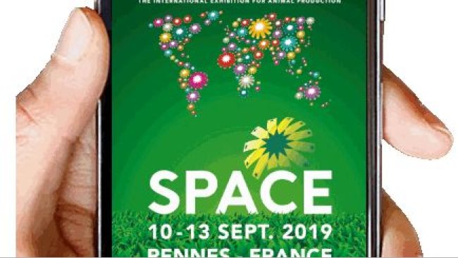 SPACE RENNES