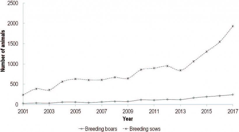 Figure 1. Census of Black Slavonian pig breed, presenting number of sows and boars per year.
