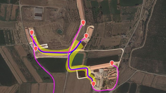 Picture 3. Current flow pattern of animal movement vehicles. The internal truck has been represented in blue and the external in fucsia. Area in yellow highlights the cross-contamination risk area.
