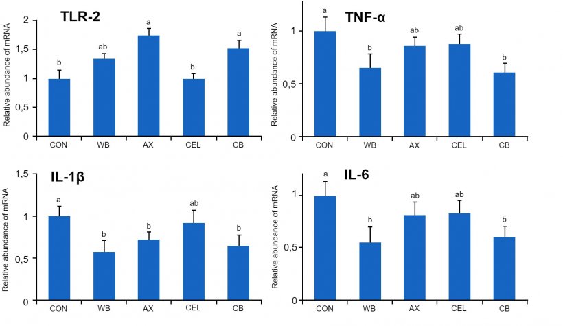 Figure 1. Effect of different dietary fiber sources on gene expression of TLR-2 receptors and pro-inflammatory cytokines in the intestine of weaned piglets. CON: control diet without fiber&nbsp;components WB: diet supplemented with 10% wheat bran AX: diet supplemented with an amount of arabinoxylanes equivalent to that provided by 10% wheat bran CEL: diet supplemented with an amount of cellulose equivalent to that provided by 10% wheat bran&nbsp;CB: diet supplemented with the same amounts of arabinoxylanes and cellulose together. Means with different letters differ statistically significantly (p&lt;0.05). Source: Chen et al., 2016
