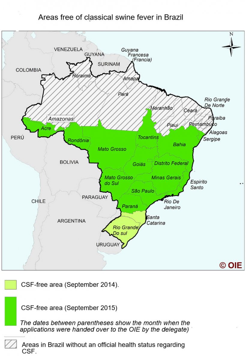 Situation of CSF in Brazil

