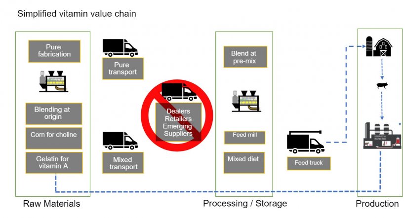 Figure&nbsp;1. General description of the vitamin value chain &nbsp;for animal feed.
