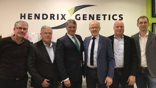 (From left to right) José Ángel Pedrido, Customer Services Manager Swine, Hendrix Genetics; Friedrich Hazenfuß, Director AI, BHZP; Nicolás Álvarez Hoggan, General Manager CE & SE Europe Swine, Hendrix Genetics; Dr. Conrad Welp, General Manager, BHZP; Jeroen van de Camp, Global Operations and Services Director Swine, Hendrix Genetics; Daniel Stegen, Sales Manager, BHZP