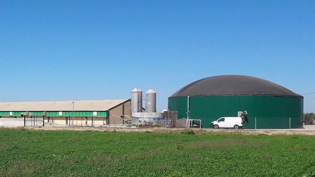 Figure 2: Pig farm in the Segriá region (Lleida, Spain), with biogas production for internal consumption in the forms of thermal and electrical energy.