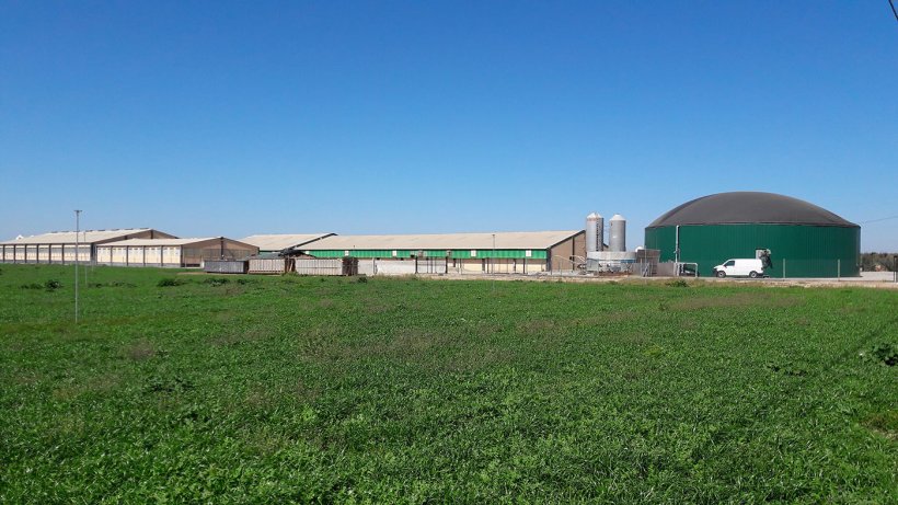 Figure&nbsp;2: Pig farm in the Segri&aacute; region (Lleida, Spain), with biogas production for internal consumption in the forms of thermal and electrical energy.
