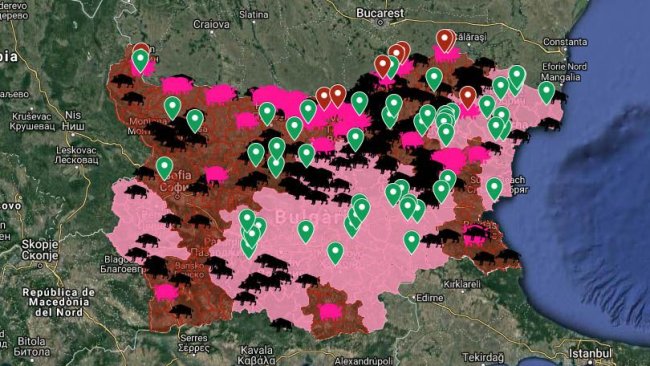 ASF outbreaks in domestic pigs since the beginning of the epidemic in August 2018.