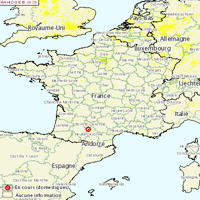 Outbreak of Aujeszky&#39;s disease in pigs in Haute-Garonne.
