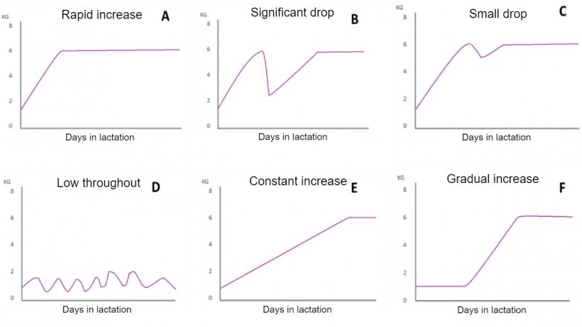 Figure 1. Feeding patterns of lactating sows described by Koketsu et al (1996a). A) rapid increase in consumption; B) significant drop in consumption; C) small drop; D) low consumption throughout lactation; E) low consumption in the first week of lactation and a constant increase during&nbsp;the rest of lactation; and F) gradual increase in consumption.
