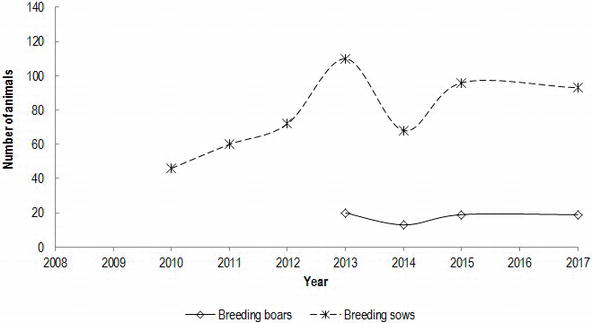 Census of Lietuvos Baltosios senojo tipo pig breed, presenting number of sows and boars per year, starting with the year of heard-book establishment