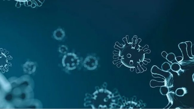 coronavirus