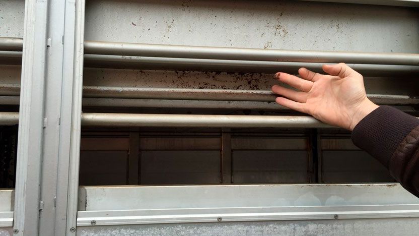 Photo 3: Side panels after cleaning and disinfection
