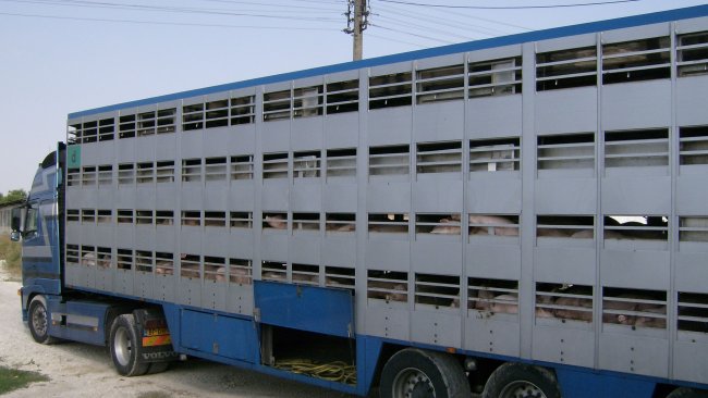 vehicles transport