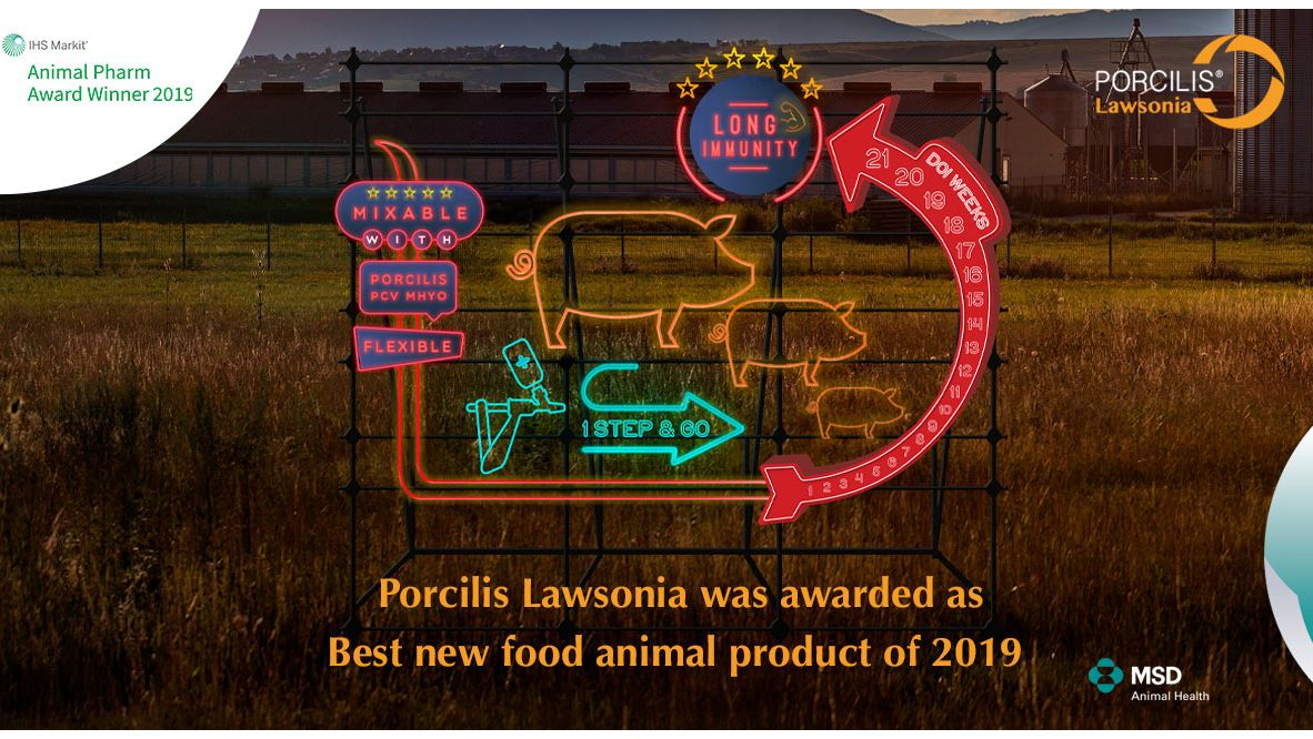 MSD Animal Health announces leadership appointments - Company news - pig333, pig to pork community MSD Animal Health announces leadership appointments - Company news - pig333, pig to pork community