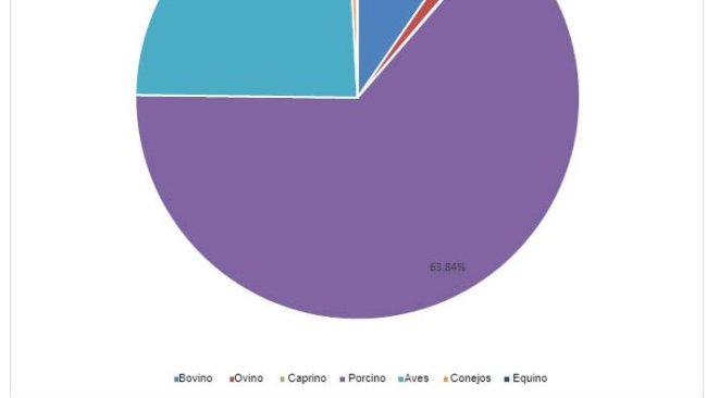 Meat production in Spain in 2019.