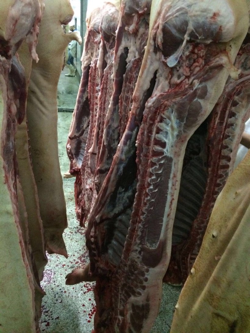 coronavirus china pork sector resumes