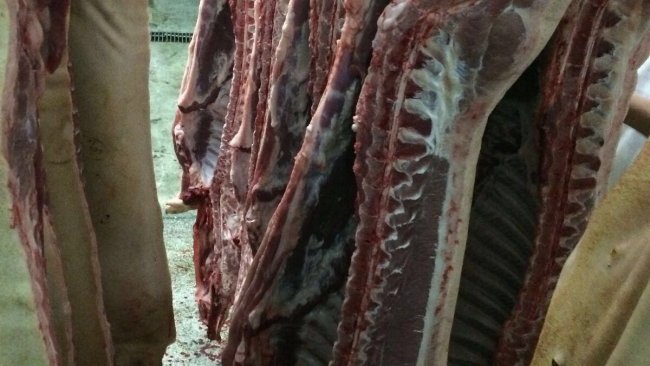 coronavirus china pork sector resumes