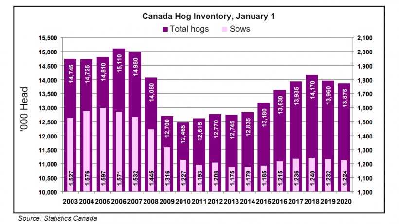 Canada January 1 hog and sow inventory by year