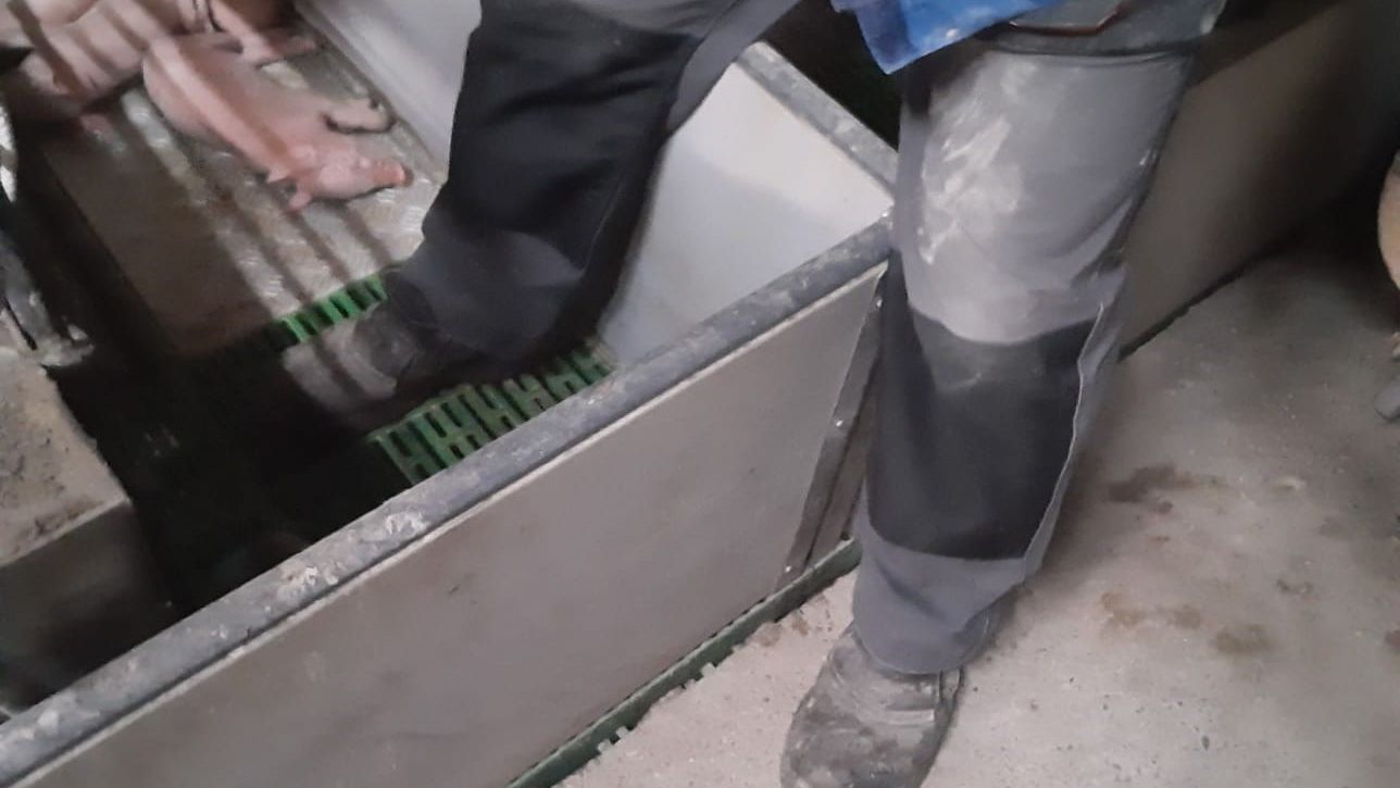 Image 1: Minimize stepping into farrowing crates. Courtesy of: Ramaderies Duch.&nbsp;
