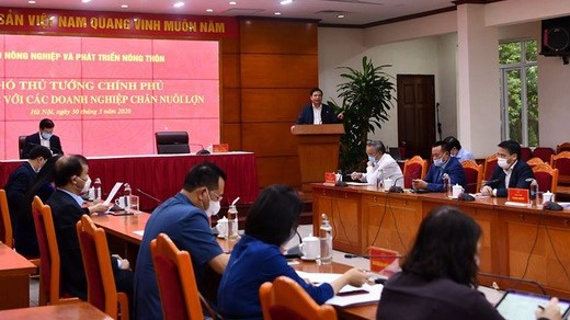 Deputy Prime Minister Trinh Dinh Dung and Minister Nguyen Xuan Cuong meet with 15 large livestock enterprises.