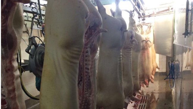 pork processing plant