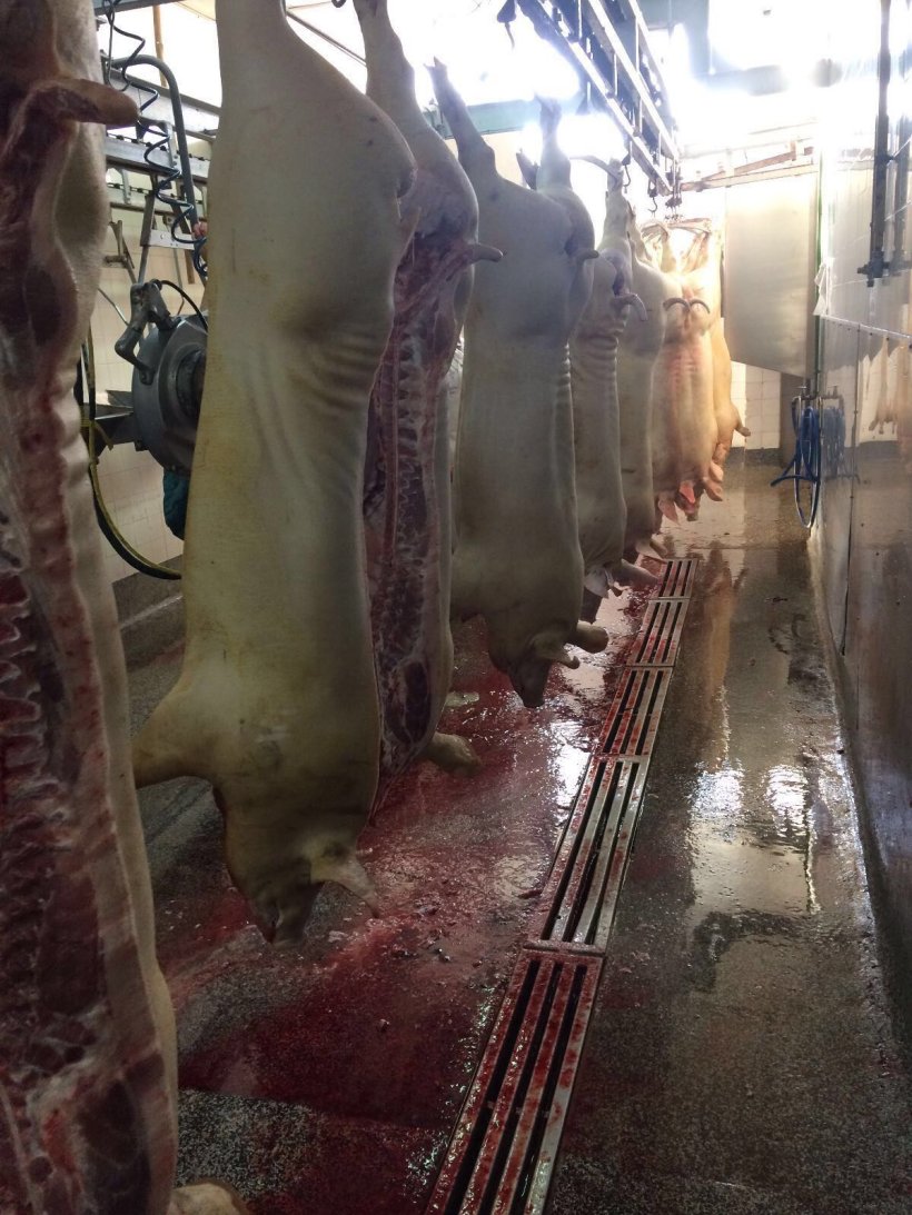 pork processing plant