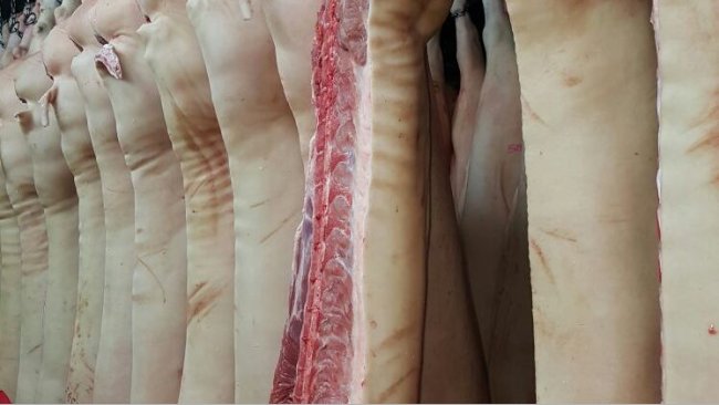 Pork