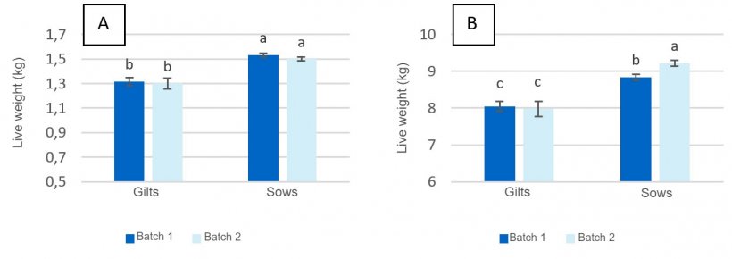 Figure&nbsp;2. Live birth weight of piglets&nbsp;(A) and at weaning&nbsp;(day 28 of lactation) (B) from gilts and sows fed a maximum of 2.80 kg/day (Lot 1) and 4.20 kg/day (Lot 2) of feed during the days before farrowing.
