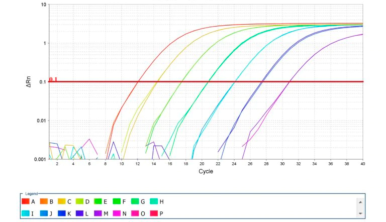 Photo 2. Amplification of standard curves for qPCR. Source: Thermo Fisher Scientific Inc.

